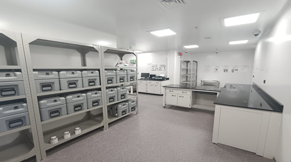 Electrical Systems